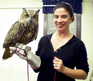 Owl Presentation